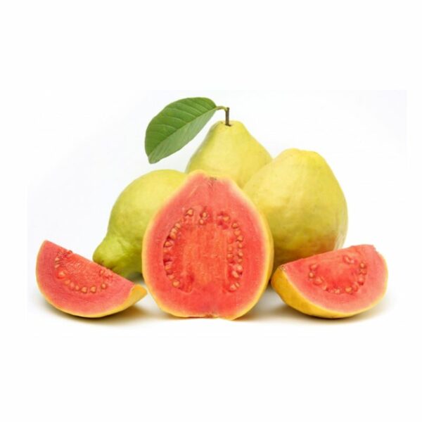 comprar guayaba online